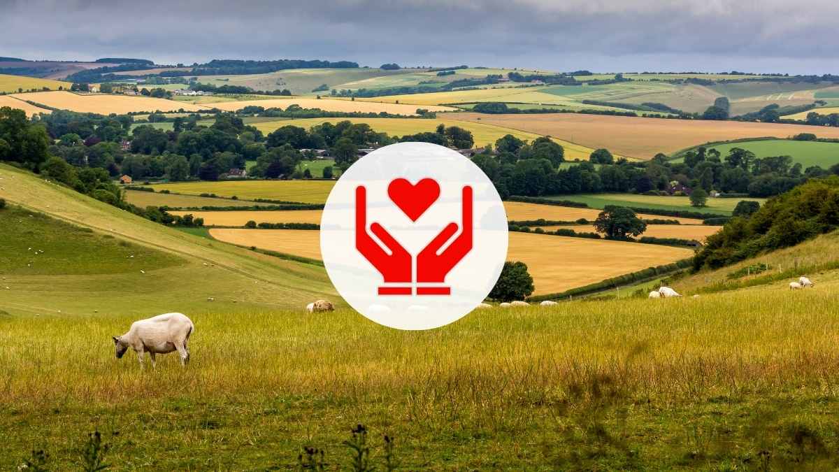 the-cep-protecting-englands-countryside image Protecting England’s Countryside